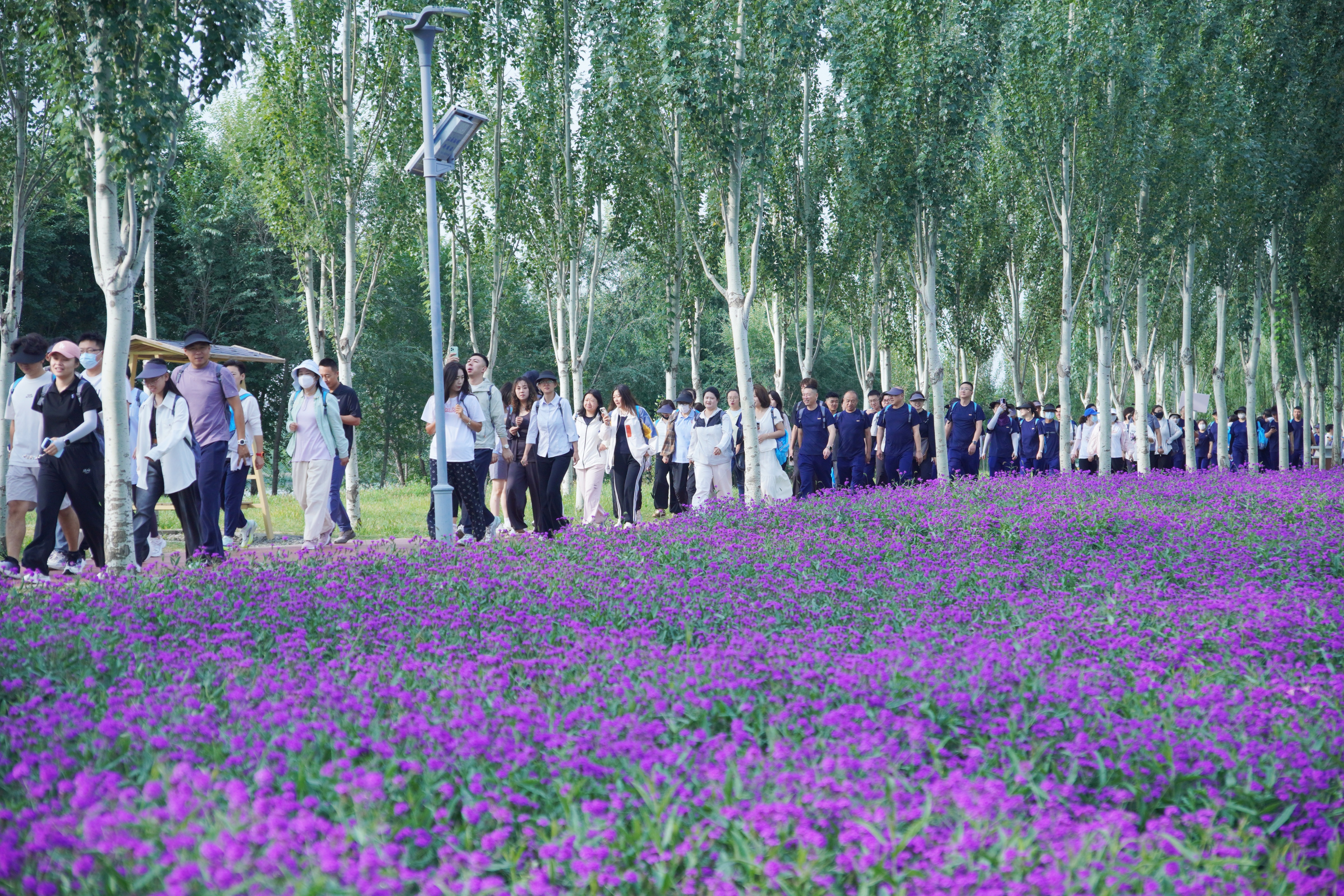 DSC01259
